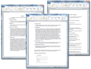 Contract Packs with the General Contractor Work Order document