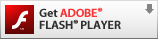 Adobe Flash