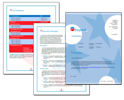 Business Proposal Software and Templates Flag #5