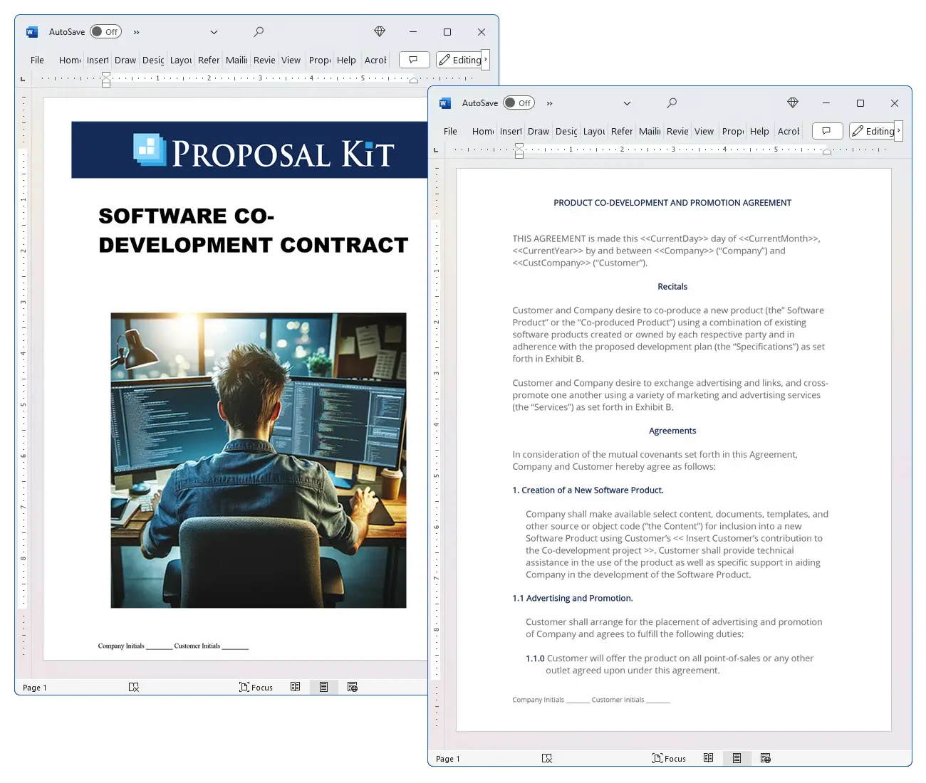 Software Co-development Contract Concepts