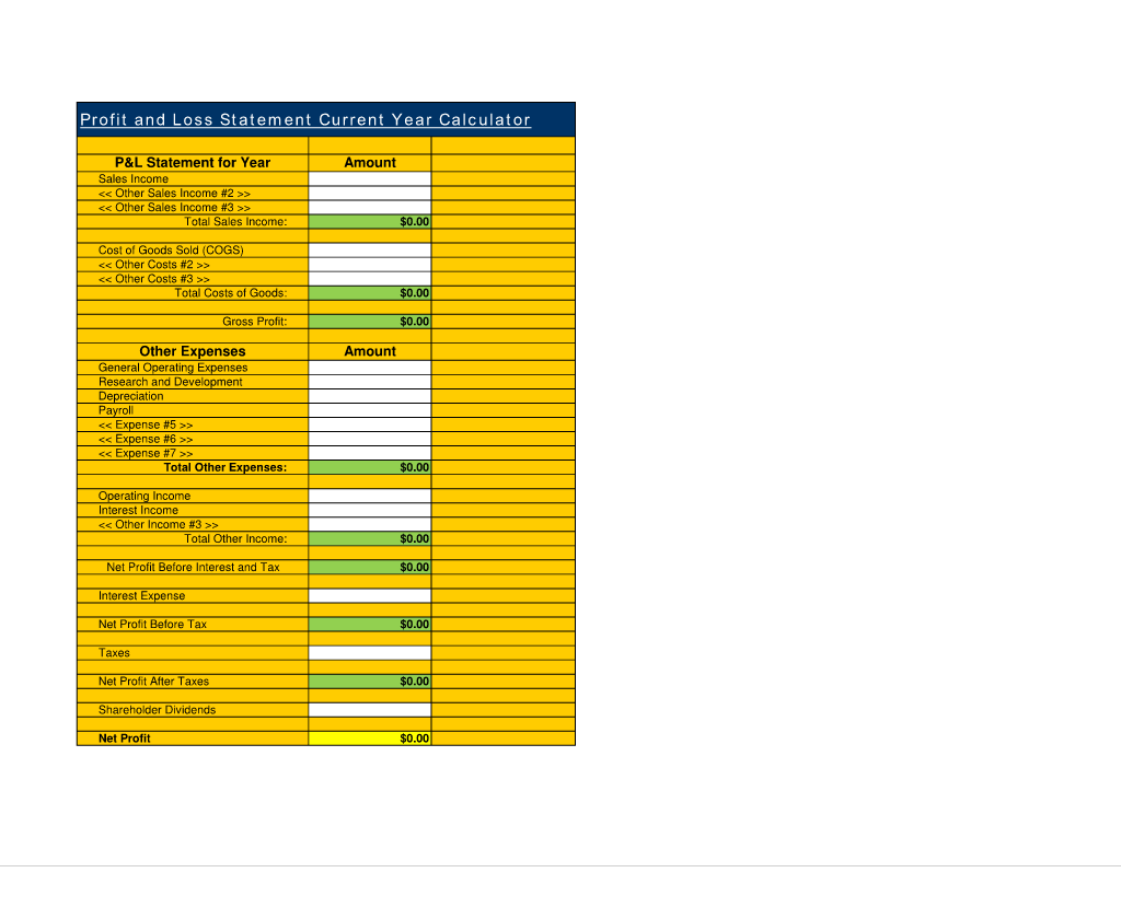 Profit and Loss Statement Current Year Calculator