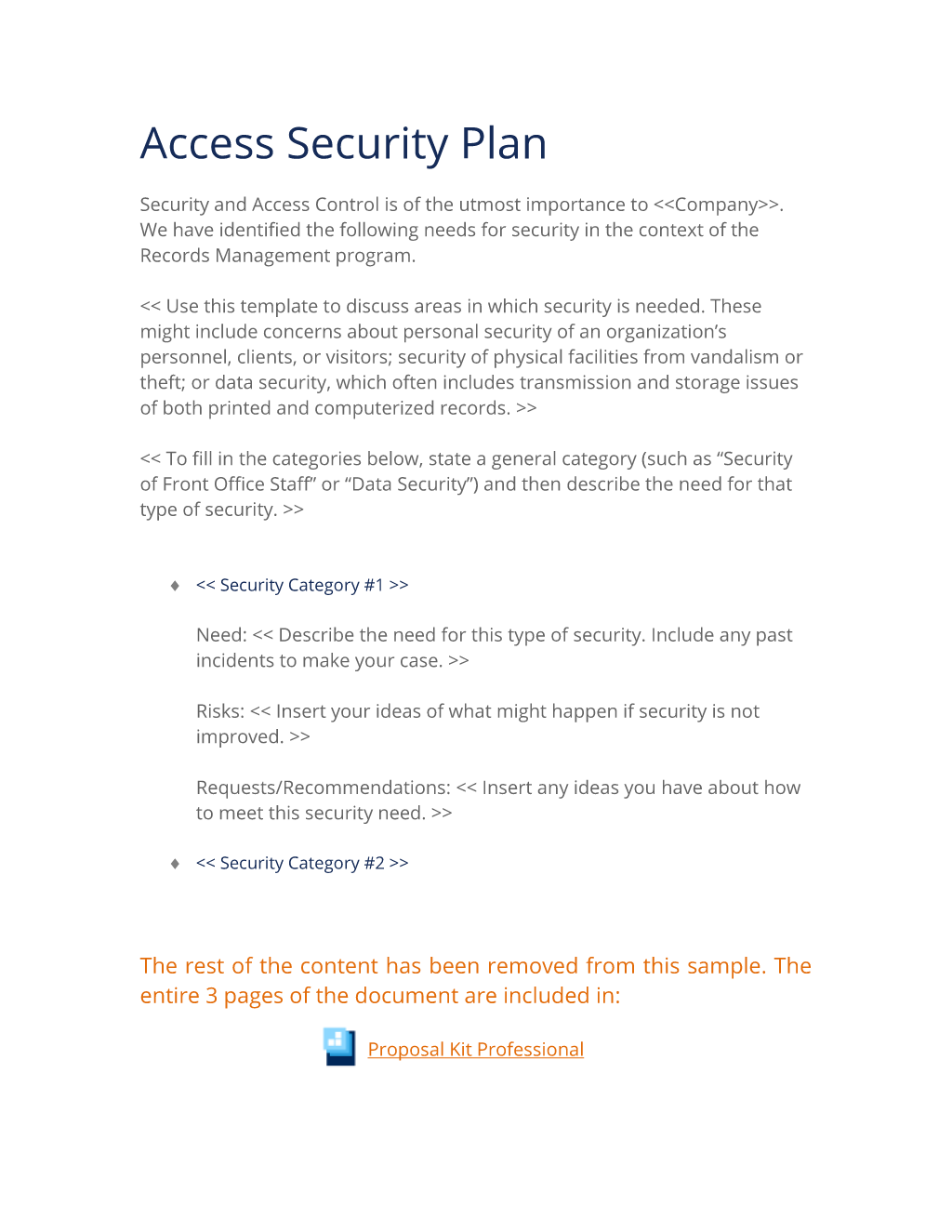 Security Plan Template