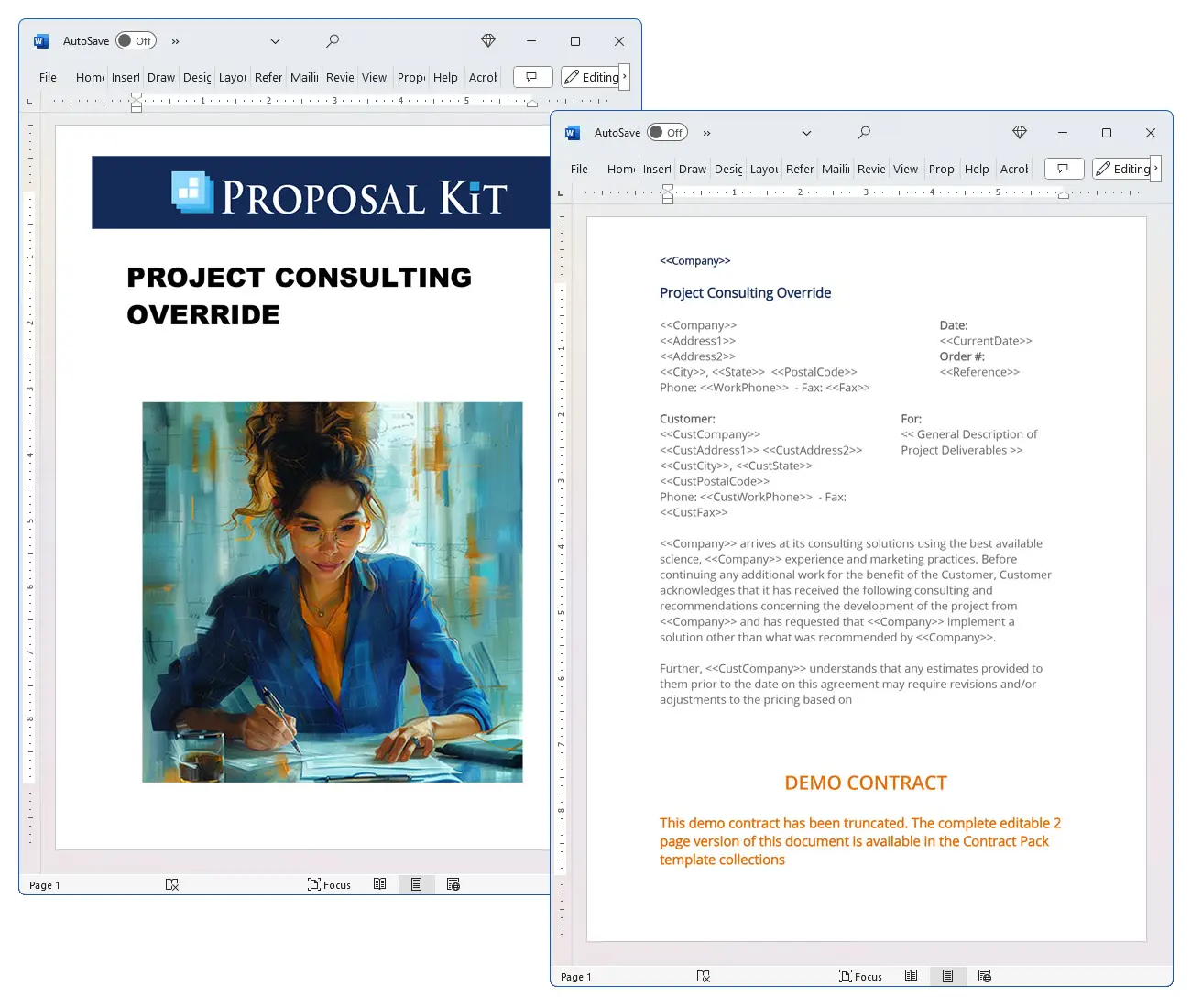 Project Consulting Override Concepts