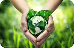 How to Write a Green or Environmental Business Proposal How to Write a Green or Environmental Business Proposal