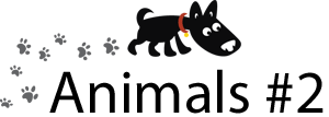 Business Proposal Software and Templates Animals #2