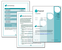 Business Proposal Software and Templates Aqua #3