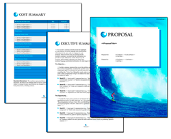 Business Proposal Software and Templates Aqua #8