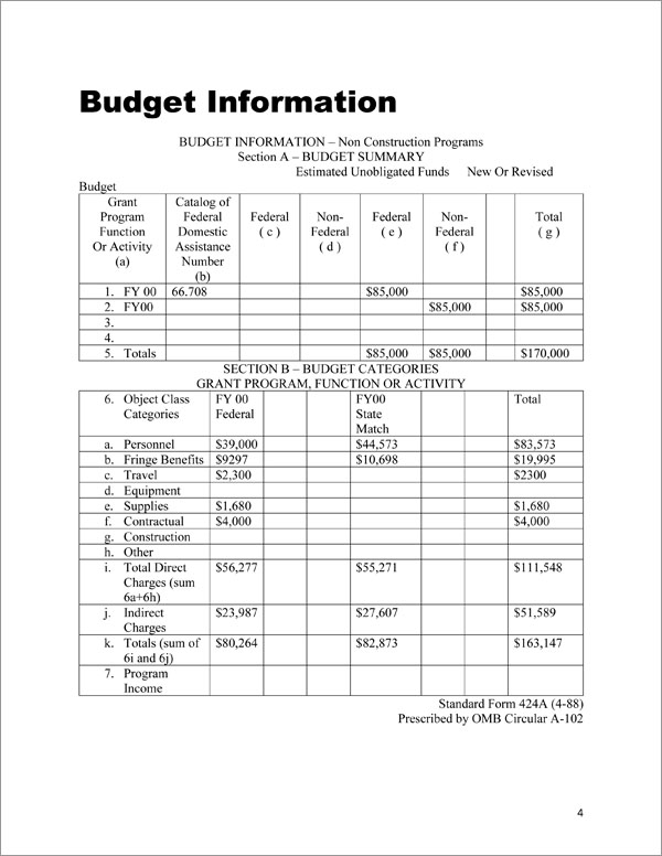 Proposal Pack for Government Grants Body Page